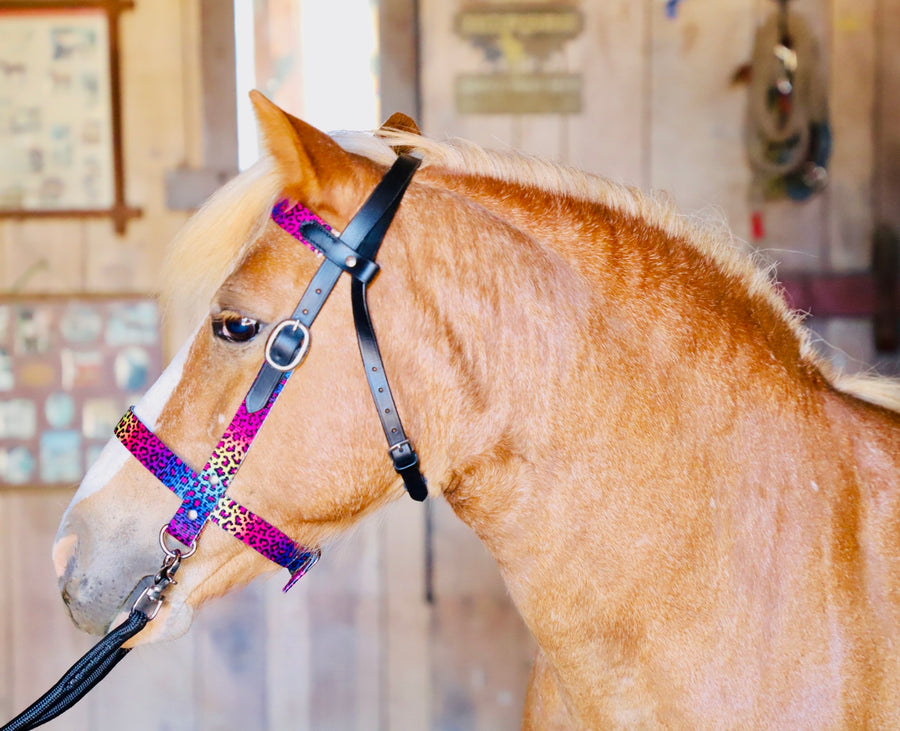 Mini-Pony Bridle-Side Pull Combo w/Reins - Star Point Horsemanship