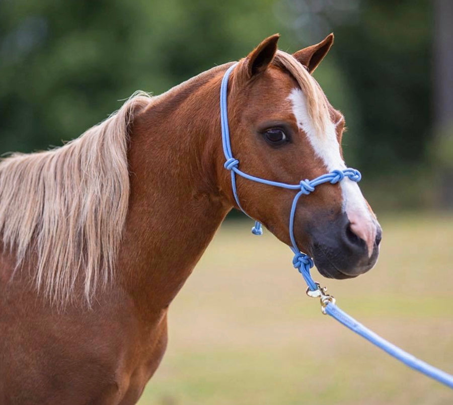 Mini-Pony 4 Knot Rope Halter - (XXS Weanling to XL Pony) - Star Point Horsemanship
