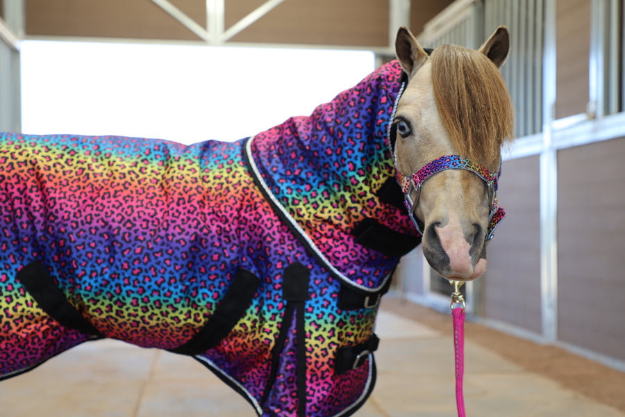 Rainbow Cheetah 220 G Hooded Blanket - 38-82" - Star Point Horsemanship